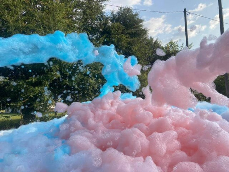 Gender Reveals